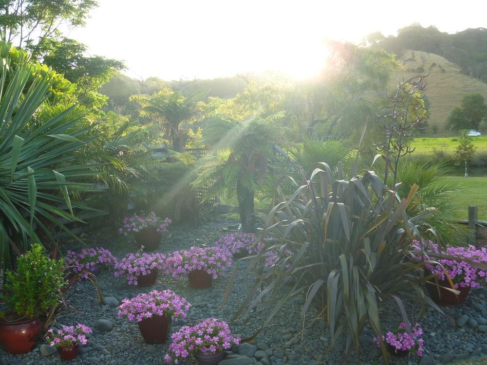 At Parkland Place B&B Whitianga Exterior foto