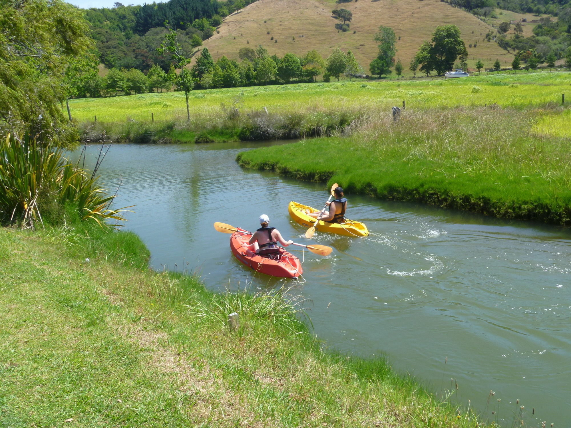 At Parkland Place B&B Whitianga Exterior foto