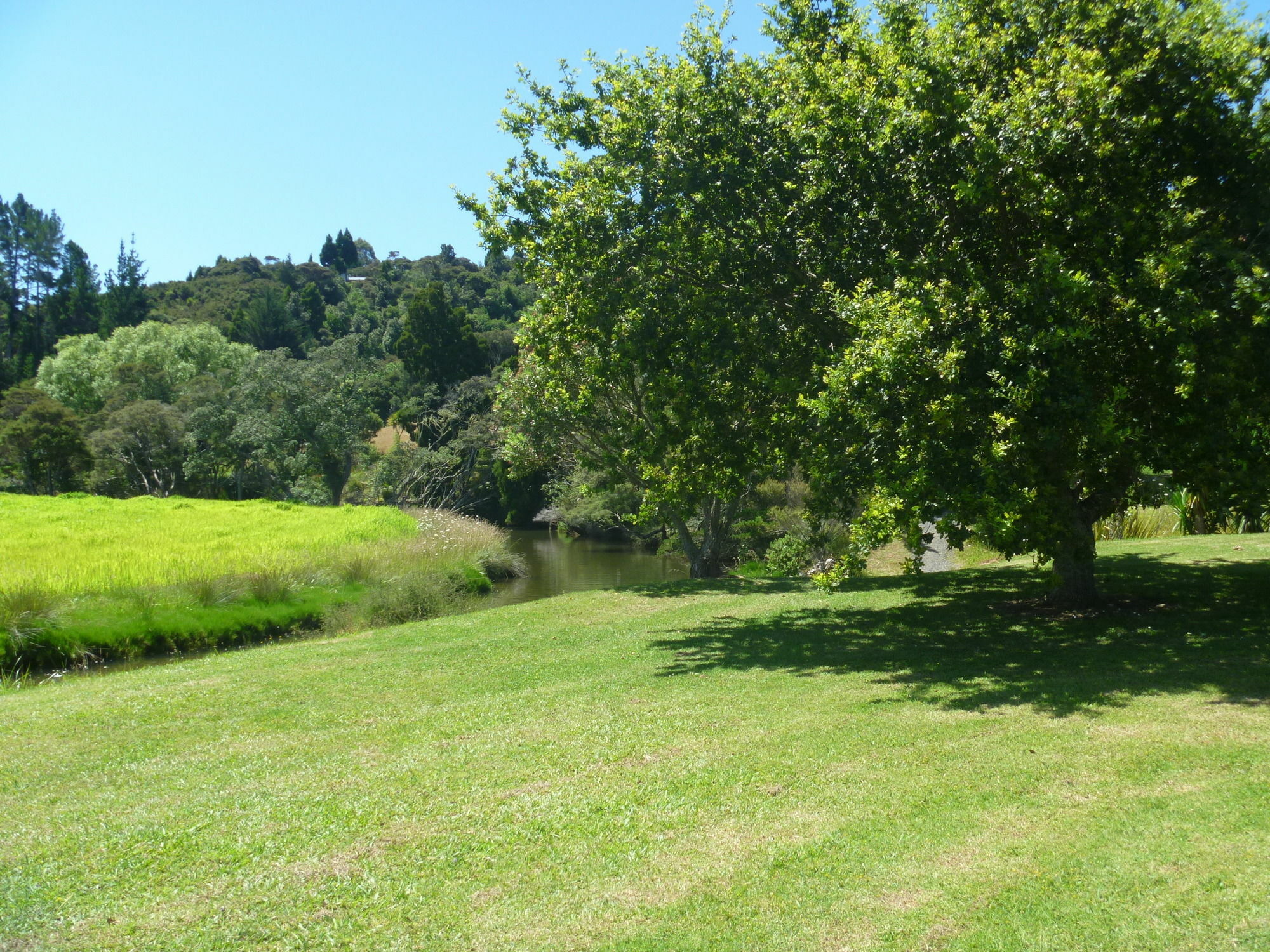 At Parkland Place B&B Whitianga Exterior foto