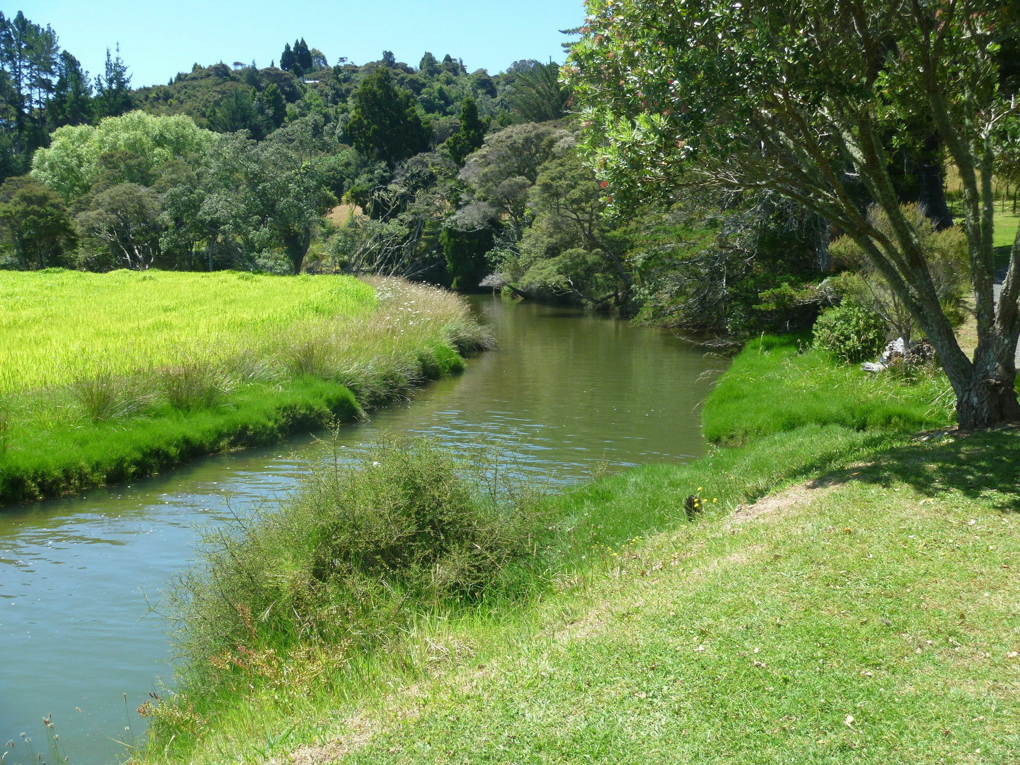 At Parkland Place B&B Whitianga Exterior foto